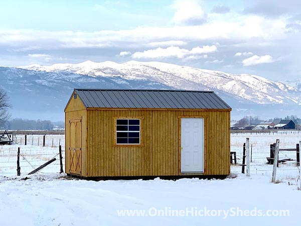 Hickory Sheds Lofted Tiny Room 1 Window