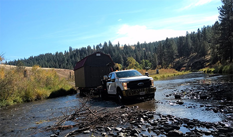 Hickory Shed fording a river for delivery