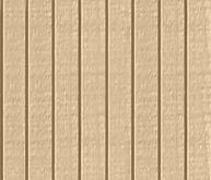 Untreated Paint Wood Siding Chip
